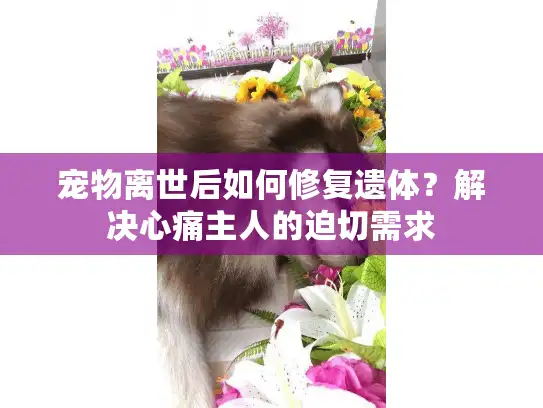 宠物离世后如何修复遗体？解决心痛主人的迫切需求
