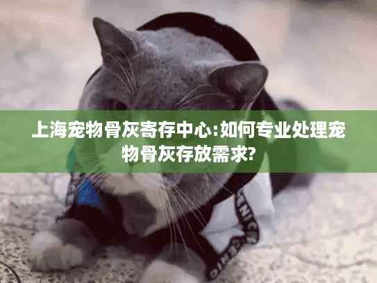 上海宠物骨灰寄存中心:如何专业处理宠物骨灰存放需求?