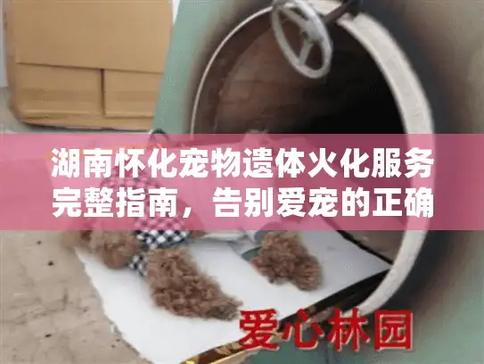 湖南怀化宠物遗体火化服务完整指南，告别爱宠的正确方式
