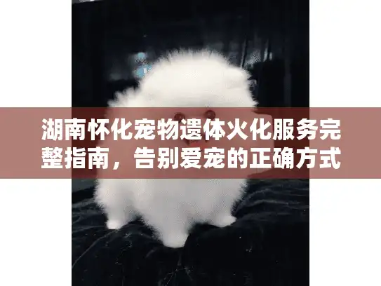 湖南怀化宠物遗体火化服务完整指南，告别爱宠的正确方式