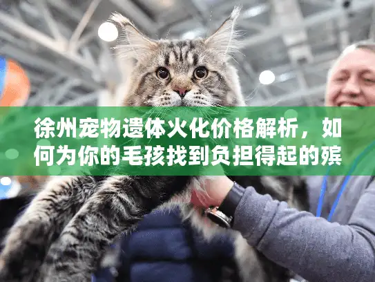 徐州宠物遗体火化价格解析，如何为你的毛孩找到负担得起的殡葬服务？
