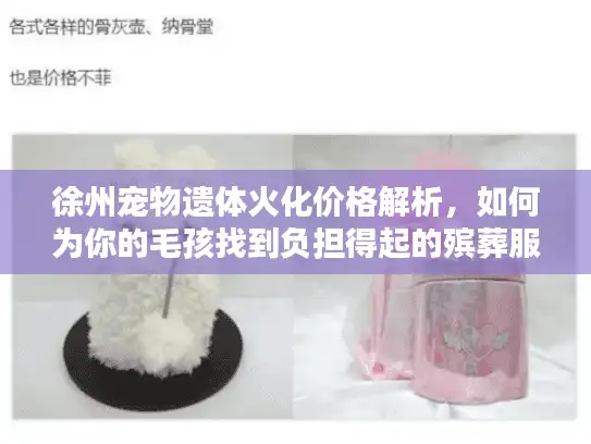 徐州宠物遗体火化价格解析，如何为你的毛孩找到负担得起的殡葬服务？