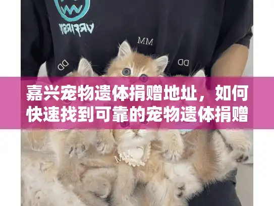 嘉兴宠物遗体捐赠地址，如何快速找到可靠的宠物遗体捐赠服务？
