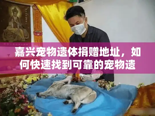嘉兴宠物遗体捐赠地址，如何快速找到可靠的宠物遗体捐赠服务？