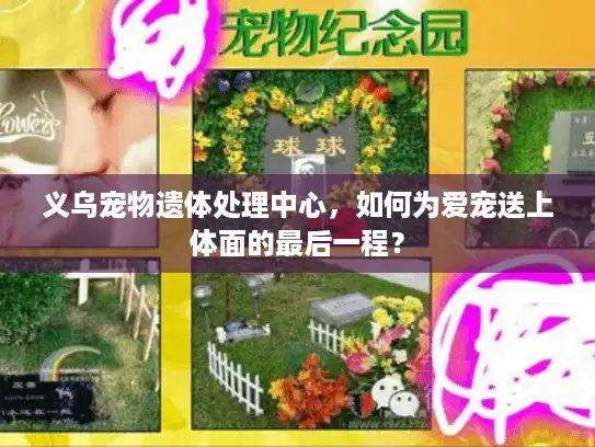 义乌宠物遗体处理中心，如何为爱宠送上体面的最后一程？