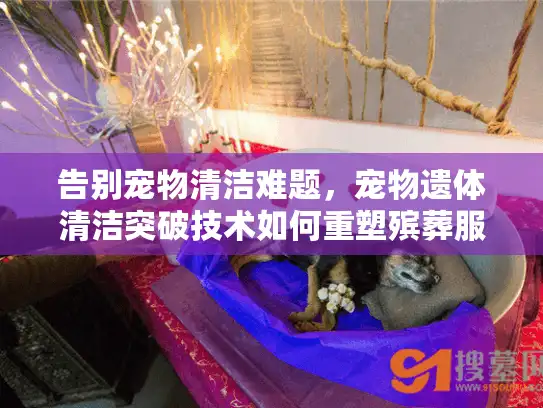 告别宠物清洁难题，宠物遗体清洁突破技术如何重塑殡葬服务