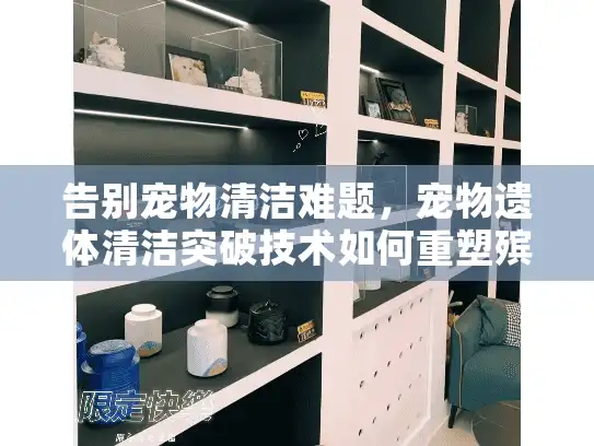 告别宠物清洁难题，宠物遗体清洁突破技术如何重塑殡葬服务