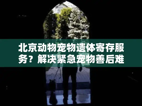 北京动物宠物遗体寄存服务？解决紧急宠物善后难题的贴心方案