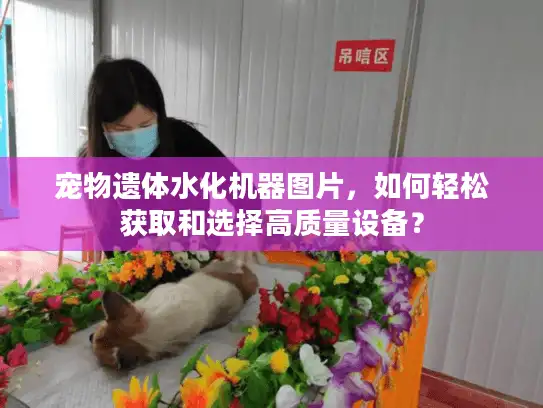 宠物遗体水化机器图片，如何轻松获取和选择高质量设备？