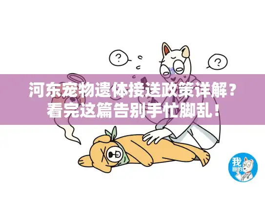 河东宠物遗体接送政策详解？看完这篇告别手忙脚乱！