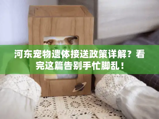 河东宠物遗体接送政策详解？看完这篇告别手忙脚乱！