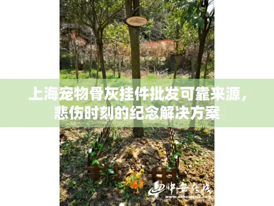 上海宠物骨灰挂件批发可靠来源，悲伤时刻的纪念解决方案