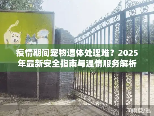 疫情期间宠物遗体处理难？2025年最新安全指南与温情服务解析