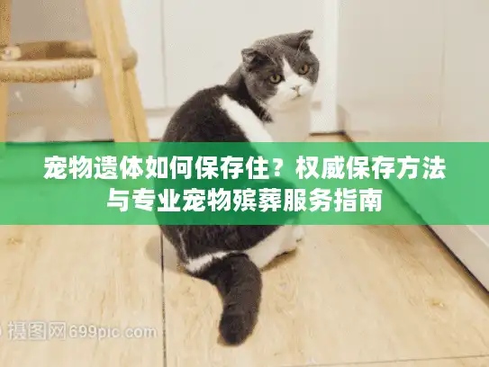 宠物遗体如何保存住？权威保存方法与专业宠物殡葬服务指南