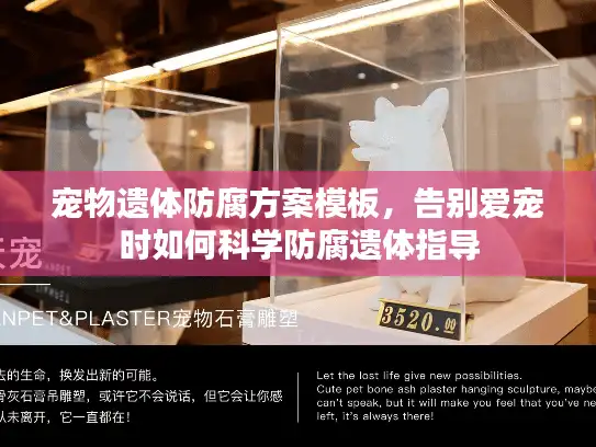 宠物遗体防腐方案模板，告别爱宠时如何科学防腐遗体指导