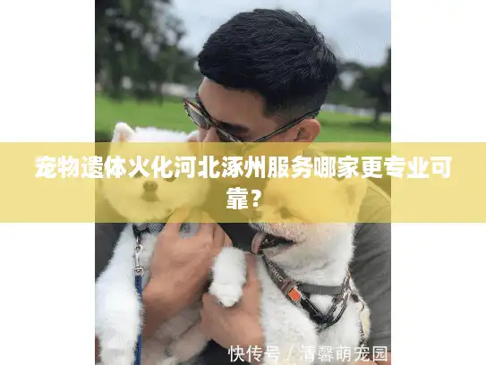 宠物遗体火化河北涿州服务哪家更专业可靠？