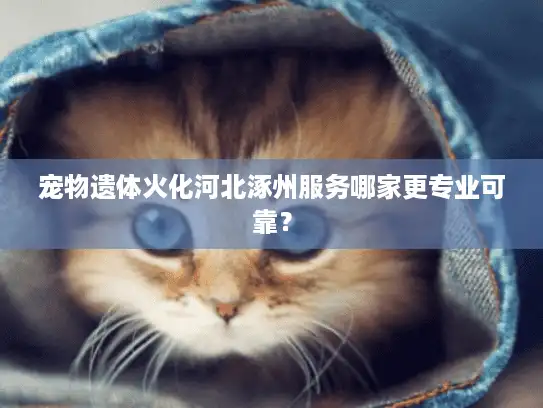 宠物遗体火化河北涿州服务哪家更专业可靠？
