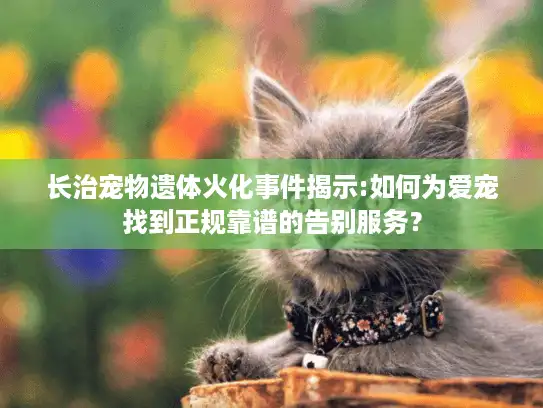 长治宠物遗体火化事件揭示:如何为爱宠找到正规靠谱的告别服务？