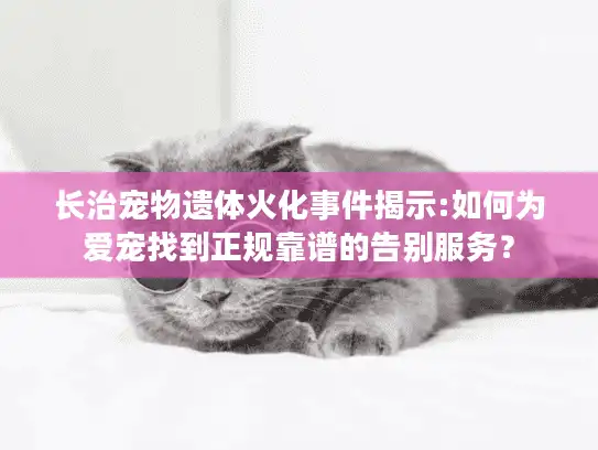 长治宠物遗体火化事件揭示:如何为爱宠找到正规靠谱的告别服务？
