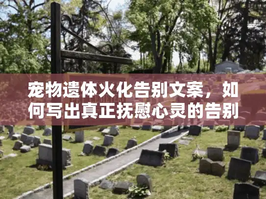 宠物遗体火化告别文案，如何写出真正抚慰心灵的告别词？