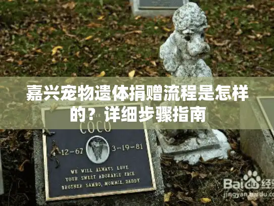 嘉兴宠物遗体捐赠流程是怎样的？详细步骤指南