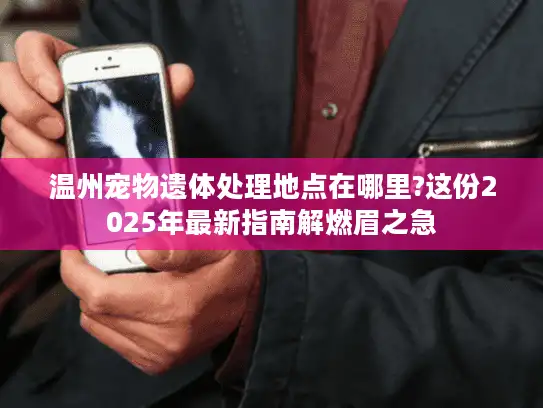 温州宠物遗体处理地点在哪里?这份2025年最新指南解燃眉之急