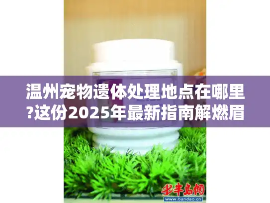 温州宠物遗体处理地点在哪里?这份2025年最新指南解燃眉之急