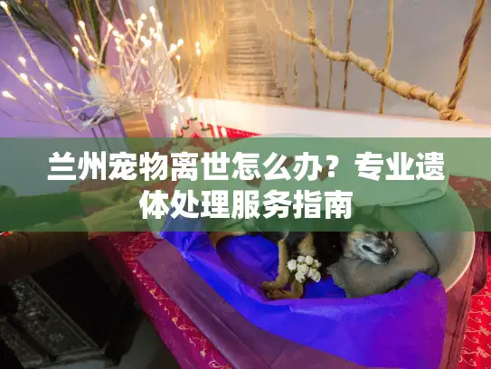 兰州宠物离世怎么办？专业遗体处理服务指南