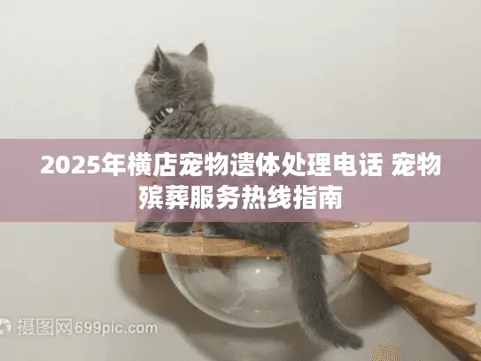 2025年横店宠物遗体处理电话 宠物殡葬服务热线指南