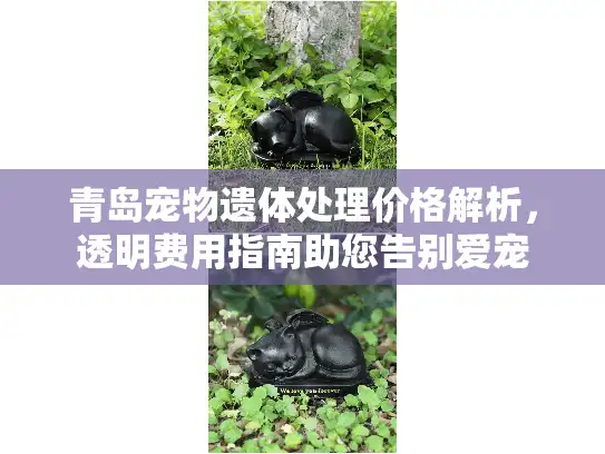 青岛宠物遗体处理价格解析，透明费用指南助您告别爱宠