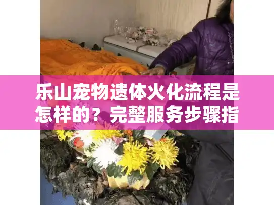 乐山宠物遗体火化流程是怎样的？完整服务步骤指南
