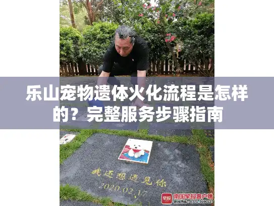 乐山宠物遗体火化流程是怎样的？完整服务步骤指南