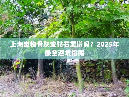 上海宠物骨灰变钻石靠谱吗？2025年最全避坑指南