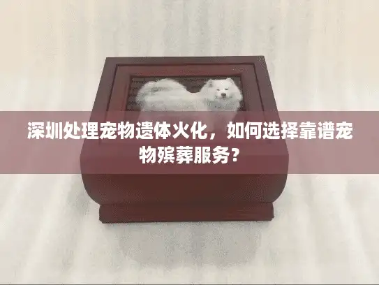 深圳处理宠物遗体火化，如何选择靠谱宠物殡葬服务？