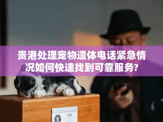 贵港处理宠物遗体电话紧急情况如何快速找到可靠服务?