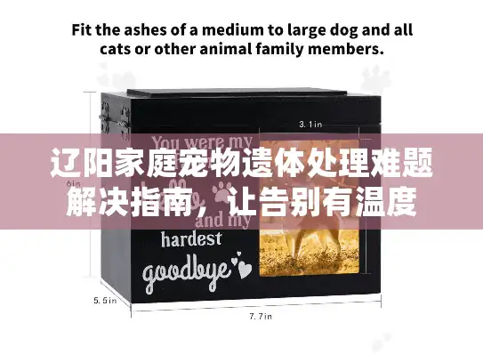 辽阳家庭宠物遗体处理难题解决指南，让告别有温度