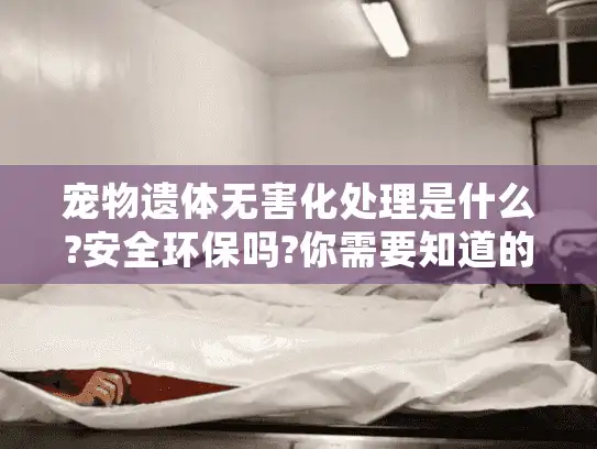 宠物遗体无害化处理是什么?安全环保吗?你需要知道的全流程解读