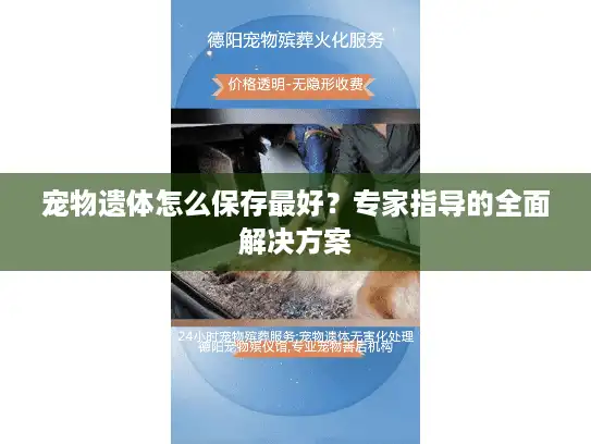宠物遗体怎么保存最好？专家指导的全面解决方案