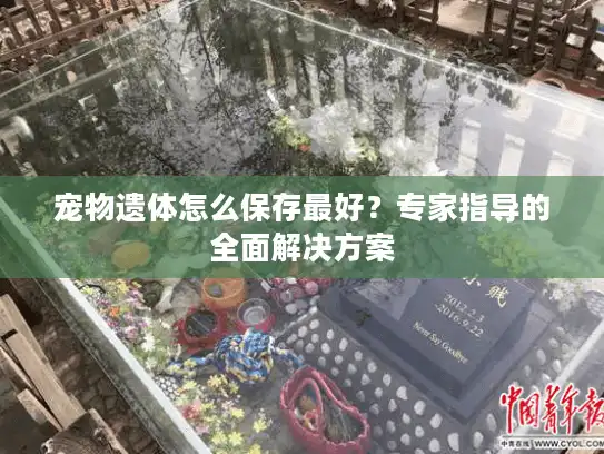 宠物遗体怎么保存最好？专家指导的全面解决方案