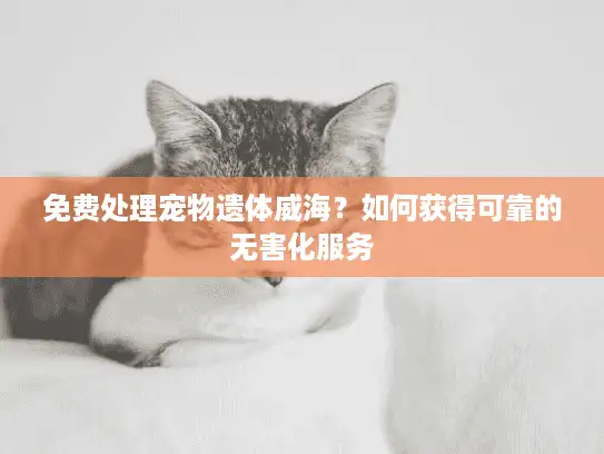 免费处理宠物遗体威海？如何获得可靠的无害化服务