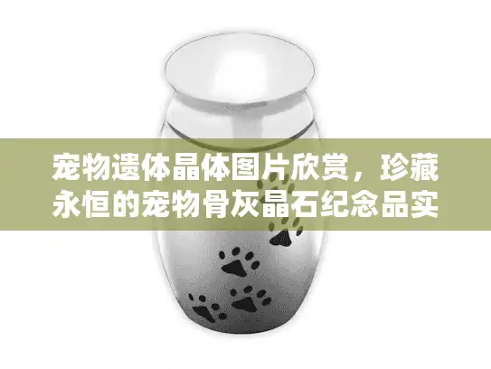 宠物遗体晶体图片欣赏，珍藏永恒的宠物骨灰晶石纪念品实拍图鉴
