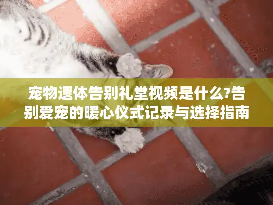 宠物遗体告别礼堂视频是什么?告别爱宠的暖心仪式记录与选择指南