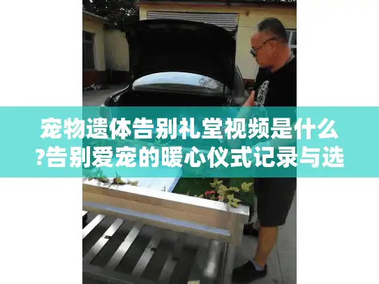 宠物遗体告别礼堂视频是什么?告别爱宠的暖心仪式记录与选择指南