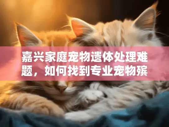 嘉兴家庭宠物遗体处理难题，如何找到专业宠物殡葬服务？