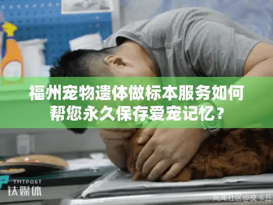 福州宠物遗体做标本服务如何帮您永久保存爱宠记忆？