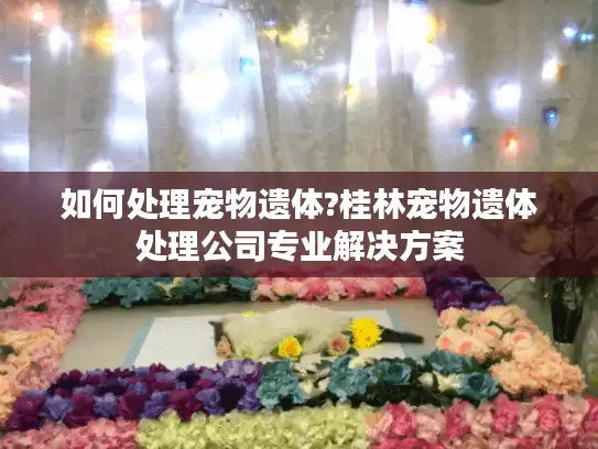 如何处理宠物遗体?桂林宠物遗体处理公司专业解决方案