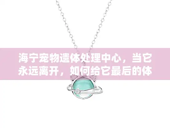 海宁宠物遗体处理中心，当它永远离开，如何给它最后的体面？
