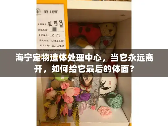海宁宠物遗体处理中心，当它永远离开，如何给它最后的体面？