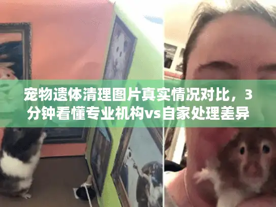 宠物遗体清理图片真实情况对比，3分钟看懂专业机构vs自家处理差异