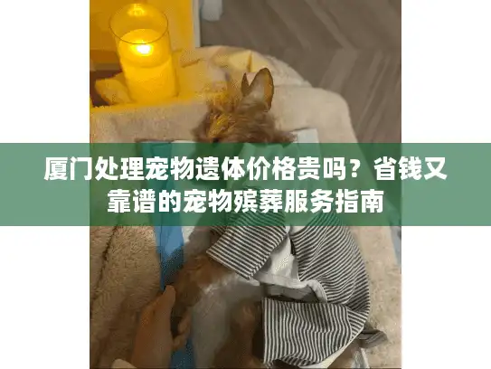 厦门处理宠物遗体价格贵吗？省钱又靠谱的宠物殡葬服务指南